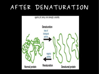 AFTER DENATURATION
 