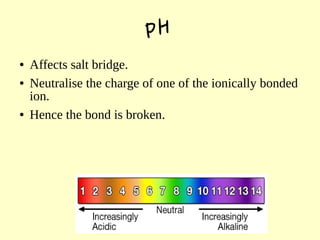 pH
● Affects salt bridge.
● Neutralise the charge of one of the ionically bonded
ion.
● Hence the bond is broken.
 