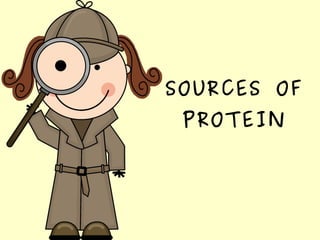 SOURCES OF
PROTEIN
 