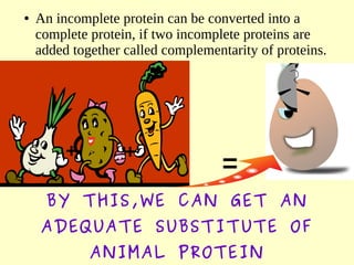 ● An incomplete protein can be converted into a
complete protein, if two incomplete proteins are
added together called complementarity of proteins.
+ +
=
BY THIS,WE CAN GET AN
ADEQUATE SUBSTITUTE OF
ANIMAL PROTEIN
 