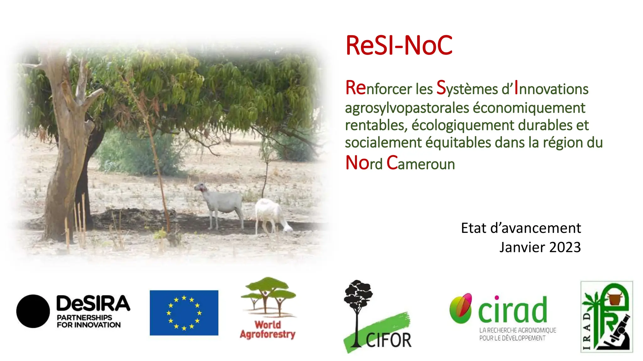 thumbnail of  Renforcer les Syst&egrave;mes d&rsquo;Innovations agrosylvopastorales &eacute;conomiquement rentables, &eacute;cologiquement durables et socialement &eacute;quitables dans la r&eacute;gion du Nord Cameroun - Etat d'avancement