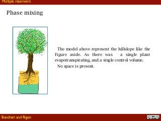 !37
Phase mixing
The model above represent the hillslope like the
Figure aside. As there was a single plant
evapotranspirating, and a single control volume.
No space is present.
Multiple reservoirs
Bancheri and Rigon
 
