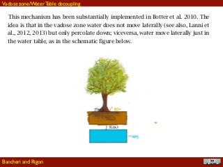 !45
This mechanism has been substantially implemented in Botter et al. 2010. The
idea is that in the vadose zone water does not move laterally (see also, Lanni et
al., 2012, 2013) but only percolate down; viceversa, water move laterally just in
the water table, as in the schematic figure below.
Vadose zone/Water Table decoupling
Bancheri and Rigon
 