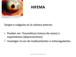 HIFEMA

Sangre o coágulos en la cámara anterior.
• Pueden ser: Traumáticos (rotura de vasos) o
espontáneos (depranocitosis)
• Investigar el uso de medicamentos o anticoagulantes

URGENCIAS OFTALMOLOGICAS

 