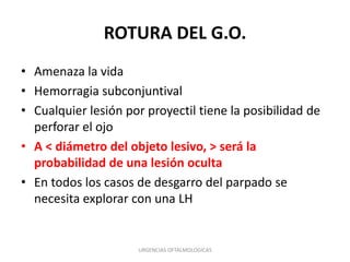 ROTURA DEL G.O.
• Amenaza la vida
• Hemorragia subconjuntival
• Cualquier lesión por proyectil tiene la posibilidad de
perforar el ojo
• A < diámetro del objeto lesivo, > será la
probabilidad de una lesión oculta
• En todos los casos de desgarro del parpado se
necesita explorar con una LH

URGENCIAS OFTALMOLOGICAS

 