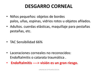 DESGARRO CORNEAL
• Niños pequeños: objetos de bordes
palos, uñas, espinas, vidrios rotos u objetos afilados.
• Adultos. cuerdas elásticas, maquillaje para pestañas
pestañas, etc.
• TAC Sensibilidad 66%
• Laceraciones corneales no reconocidos:
Endoftalmitis o catarata traumática .
• Endoftalmitis ----> visión es un gran riesgo.
URGENCIAS OFTALMOLOGICAS

 
