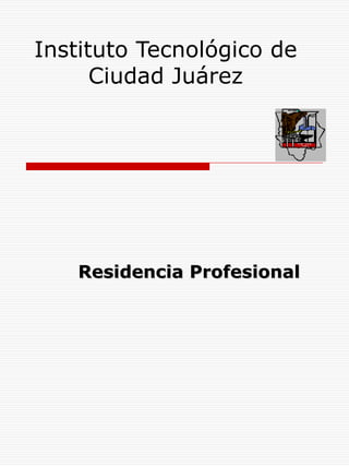 Instituto Tecnológico de Ciudad Juárez Residencia Profesional 