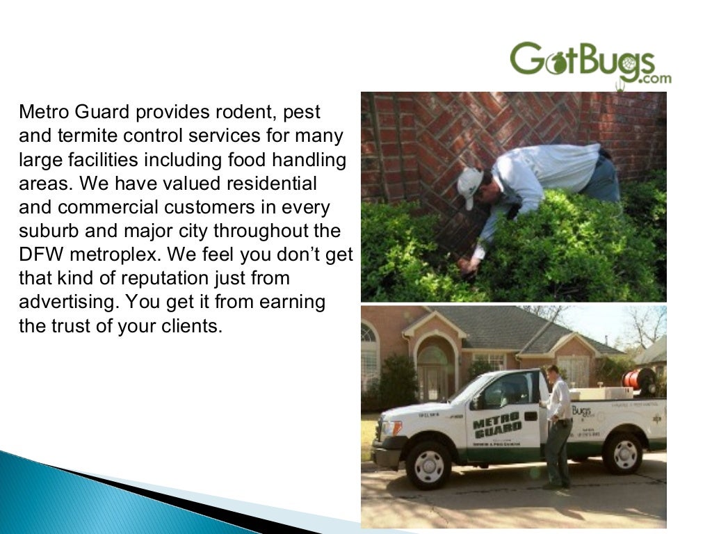 Residential and commercial pest control services in dallas