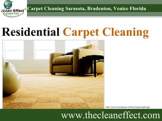 www.thecleaneffect.com Residential  Carpet Cleaning Sarasota, Bradenton & Venice Florida http://www.toxicnation.ca/files/image/carpet.jpg 