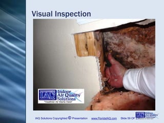 Mold Ast Residential Mold Assessment ASTM D7338 IAQS Abbreviated Version | PPSX