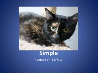 Simple
Adopted on 10/7/11
 
