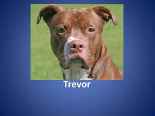Trevor
 