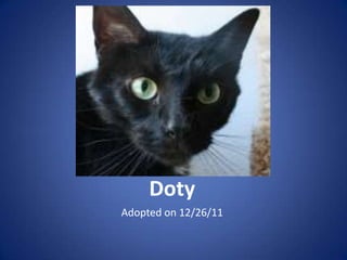 Doty
Adopted on 12/26/11
 