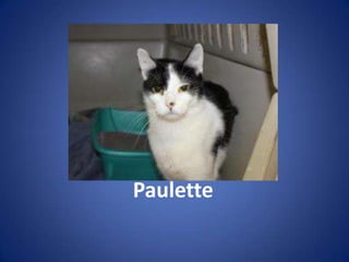 Paulette
 