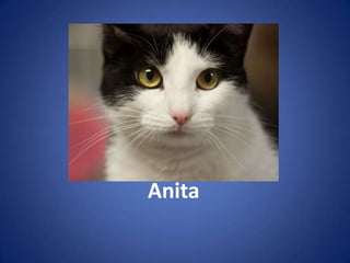 Anita
 