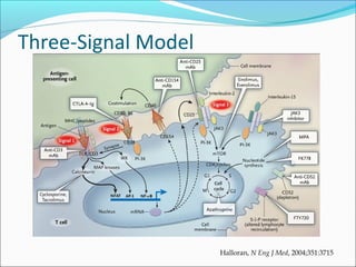 Three-Signal Model
Halloran, N Eng J Med, 2004;351:3715
 