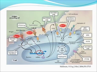 Halloran, N Eng J Med, 2004;351:3715
 