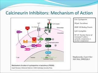 Calcineurin Inhibitors: Mechanism of Action
CsA: Cyclosporine
FK506: Tacrolimus
FKBP: FK Binding Protein
CpN: Cyclophilin
NF-AT: Nuclear Factor of
Activated T-cells (c-
cytosolic component; n-
nuclear component).
Stepkowski, Expert Rev
Mol Med, 2000;2(4):1
 