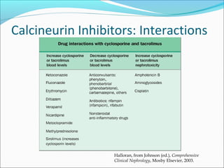 Calcineurin Inhibitors: Interactions
Halloran, from Johnson (ed.), Comprehensive
Clinical Nephrology, Mosby Elsevier, 2003.
 