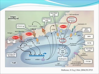 Halloran, N Eng J Med, 2004;351:3715
 