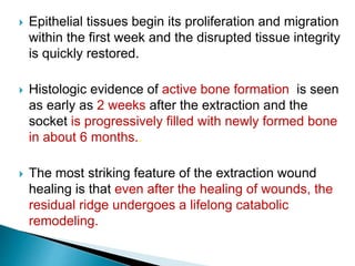  Epithelial tissues begin its proliferation and migration
within the first week and the disrupted tissue integrity
is quickly restored.
 Histologic evidence of active bone formation is seen
as early as 2 weeks after the extraction and the
socket is progressively filled with newly formed bone
in about 6 months..
 The most striking feature of the extraction wound
healing is that even after the healing of wounds, the
residual ridge undergoes a lifelong catabolic
remodeling.
 