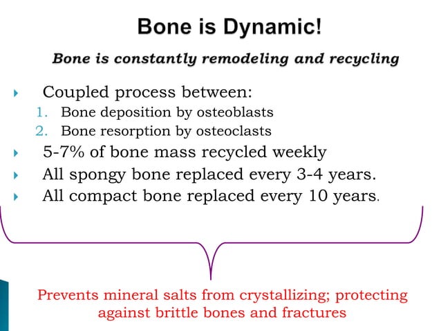 Residual ridge resorption | PPTX | Bone and Joint Conditions | Diseases ...