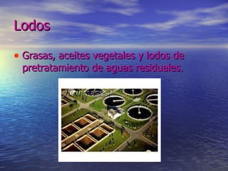 Lodos   Grasas, aceites vegetales y lodos de pretratamiento de aguas residuales.  