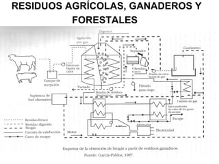 RESIDUOS AGRÍCOLAS, GANADEROS Y
          FORESTALES
 
