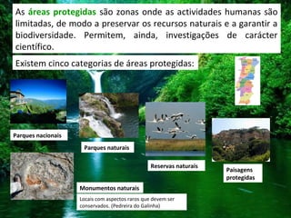 As áreas protegidas são zonas onde as actividades humanas são
limitadas, de modo a preservar os recursos naturais e a garantir a
biodiversidade. Permitem, ainda, investigações de carácter
científico.
Existem cinco categorias de áreas protegidas:
Parques nacionais
Parques naturais
Reservas naturais
Paisagens
protegidas
Monumentos naturais
Locais com aspectos raros que devem ser
conservados. (Pedreira do Galinha)
 