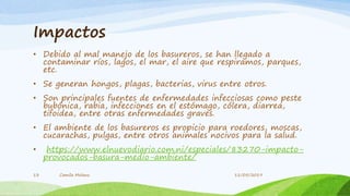 Impactos
• Debido al mal manejo de los basureros, se han llegado a
contaminar ríos, lagos, el mar, el aire que respiramos, parques,
etc.
• Se generan hongos, plagas, bacterias, virus entre otros.
• Son principales fuentes de enfermedades infecciosas como peste
bubónica, rabia, infecciones en el estómago, cólera, diarrea,
tifoidea, entre otras enfermedades graves.
• El ambiente de los basureros es propicio para roedores, moscas,
cucarachas, pulgas, entre otros animales nocivos para la salud.
• https://www.elnuevodiario.com.ni/especiales/83270-impacto-
provocados-basura-medio-ambiente/
Camila Molano13 11/05/2019
 