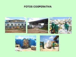 FOTOS COOPERATIVA 