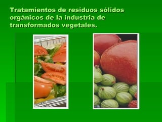 Tratamientos de residuos sólidos orgánicos de la industria de transformados vegetales. 