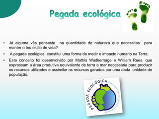 Co-incineração A  Co-incineração, consiste no reaproveitamento dos fornos  das cimenteiras, tirando partido das alta temperaturas (que chegam a atingir os 2000 graus), para queimar os resíduos perigosos e ao mesmo tempo produzir o cimento.