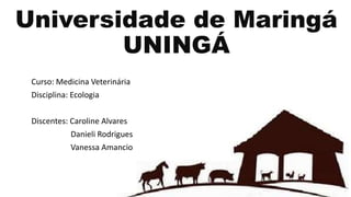 Universidade de Maringá 
UNINGÁ 
Curso: Medicina Veterinária 
Disciplina: Ecologia 
Discentes: Caroline Alvares 
Danieli Rodrigues 
Vanessa Amancio 
 
