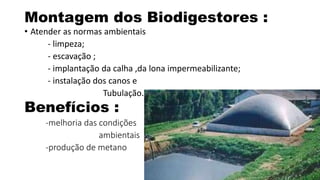 Montagem dos Biodigestores : 
• Atender as normas ambientais 
- limpeza; 
- escavação ; 
- implantação da calha ,da lona impermeabilizante; 
- instalação dos canos e 
Tubulação. 
Benefícios : 
-melhoria das condições 
ambientais 
-produção de metano 
 