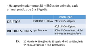 - Há aproximadamente 38 milhões de animais, cada 
animal produz de 5 a 8Kg/dia 
PRODUÇÃO 
DEJETOS ESTERCO e URINA 247 milhões Kg/dia 
90,2 bilhões Kg/ano 
BIODIGESTORES gás Metano 900 milhões m³/ano  64 
milhões de botijões/ano 
EX: 20 Matriz  2botijões de 13kg/dia  60 botijões/mês 
 R$35,00/botijão = R$2 100,00/mês 
 