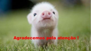 Agradecemos pela atenção ! 
