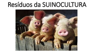 Resíduos da SUINOCULTURA 
 