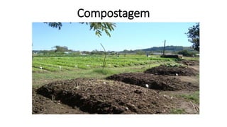 Compostagem 
 