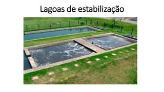 Lagoas de estabilização 
 