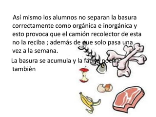 Así mismo los alumnos no separan la basura
correctamente como orgánica e inorgánica y
esto provoca que el camión recolector de esta
no la reciba ; además de que solo pasa una
vez a la semana.
La basura se acumula y la fauna nociva
también
 