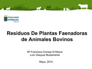 Residuos De Plantas Faenadoras
de Animales Bovinos
Mª Francisca Cornejo D’Ottone
Luís Vásquez Bustamante
Mayo, 2014.
 