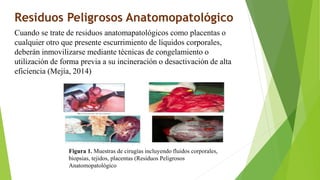 Residuos Peligrosos Anatomopatológico
Cuando se trate de residuos anatomapatológicos como placentas o
cualquier otro que presente escurrimiento de líquidos corporales,
deberán inmovilizarse mediante técnicas de congelamiento o
utilización de forma previa a su incineración o desactivación de alta
eficiencia (Mejía, 2014)
Figura 1. Muestras de cirugías incluyendo fluidos corporales,
biopsias, tejidos, placentas (Residuos Peligrosos
Anatomopatológico)
 