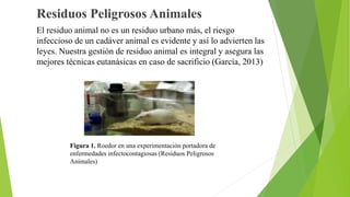 Residuos Peligrosos Animales
El residuo animal no es un residuo urbano más, el riesgo
infeccioso de un cadáver animal es evidente y así lo advierten las
leyes. Nuestra gestión de residuo animal es integral y asegura las
mejores técnicas eutanásicas en caso de sacrificio (García, 2013)
Figura 1. Roedor en una experimentación portadora de
enfermedades infectocontagiosas (Residuos Peligrosos
Animales)
 
