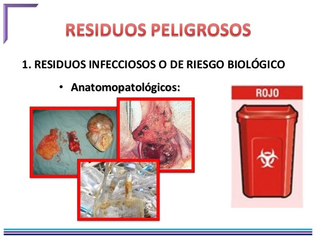 Resultado de imagen para anatomopatológicos residuos