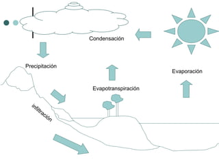 Precipitación
infiltración
Evapotranspiración
Evaporación
Condensación
 