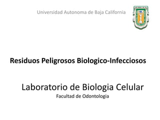 Residuos Peligrosos Biologico-Infecciosos Laboratorio de Biologia Celular Facultad de Odontologia Universidad Autonoma de Baja California 