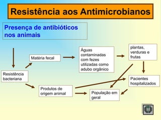 Resistência aos Antimicrobianos
Resistência
bacteriana
Matéria fecal
Produtos de
origem animal
Águas
contaminadas
com fezes
utilizadas como
adubo orgânico
plantas,
verduras e
frutas
População em
geral
Pacientes
hospitalizados
Presença de antibióticos
nos animais
 