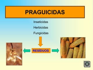 PRAGUICIDAS
Inseticidas
Herbicidas
Fungicidas
RESÍDUOS
 