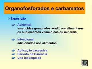 Organofosforados e carbamatos
Exposição
Acidental
inseticidas granulados aditivos alimentares
ou suplementos vitamínicos ou minerais
Intencional
adicionados aos alimentos
Aplicação excessiva
Período de Carência
Uso inadequado
 